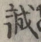 誠 위치 확인됨