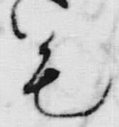 文字毛