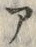 「ア」字