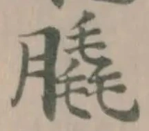 膬の位置
