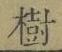 글자 樹