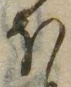 𛃀の位置