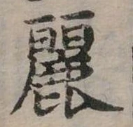 已定位麗