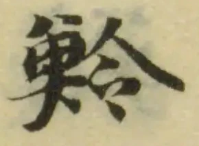 魿の位置
