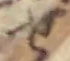 せの位置