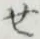 글자 せ