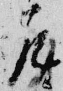 尼の位置