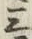 文字三