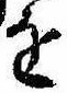 位置定マレル𛄜