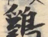 雞の位置