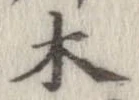 位置 確認된 木