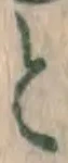 글자 と