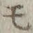 字モ