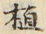 文字植