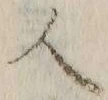 字人