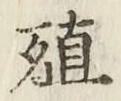 字殖
