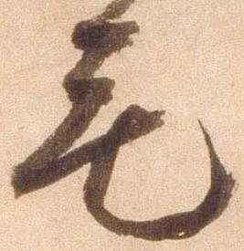毛 위치 확인됨