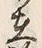 글자 在