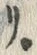 文字ポ