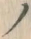 “ノ”字