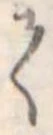 𛁳 위치 확인됨