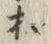 𡨸根