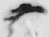 글자 薪