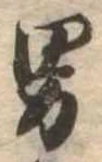 位置 確認된 男
