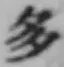 글자 多