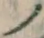 字ノ