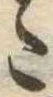 Đã định vị 𛁠