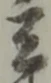 兵 위치 확인됨