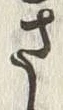 𡨸も