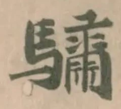 驌の位置