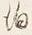 文字泊