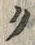 文字ク