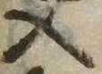 位置 確認된 入