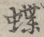 蝶 위치 확인됨
