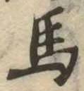 馬 위치 확인됨