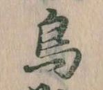 鳥 위치 확인됨