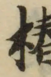 位置定マレル椿