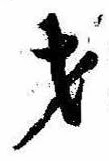 Đã định vị 才