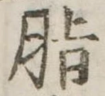 Đã định vị 脂
