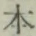 “本”字