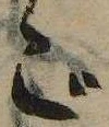 位置 確認된 ご