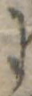 𛂌 위치 확인됨