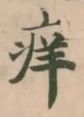 痒の位置