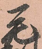 毛 위치 확인됨