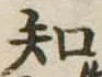 知 위치 확인됨