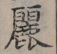 已定位麗
